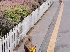 -黔灵山公园