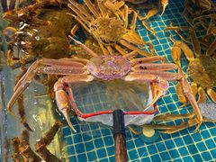 -驻海渔市(置信店)