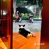 [爱心]「梧州」佛系探店