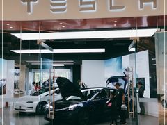 -TESLA 特斯拉(郑州正弘城体验店)