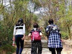 -天台山赤城山景区