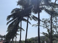 -创味·民间海南菜·非遗藤桥排骨(藤桥·免税城店)