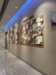 -上海首尔丽格医疗美容医院