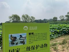 -大兴滨河森林公园