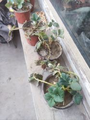 -蒙娜丽莎婚纱摄影(优质商家)