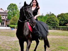 -重庆和泰马术俱乐部