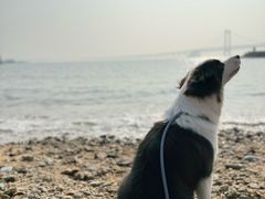 -星海广场