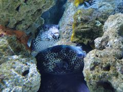 -横店影视城梦幻谷园区