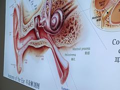 -自然之声助听器·呼吸机(康桥旗舰店)