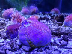 -苏州海洋馆