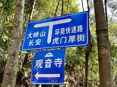 -东莞市大岭山森林公园