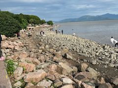 -深圳湾公园(南山区)
