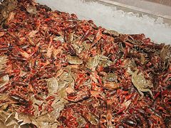 -悦橙烤肉海鲜自助(中央大街店)