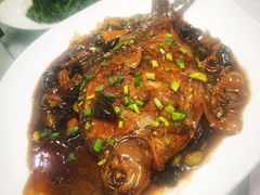 -明珠湖天鹅苑·农家菜馆