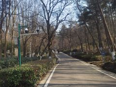 -南京老山国家森林公园