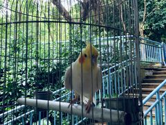 -东部华侨城