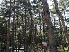 -帽儿山国家森林公园