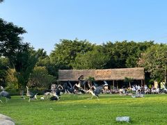 -广州长隆飞鸟乐园