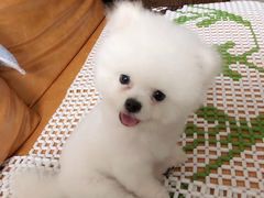 -宝安体育馆游泳馆