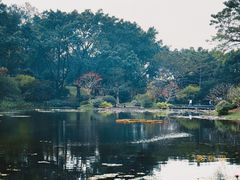 -云溪植物园