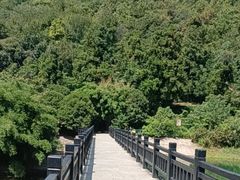 -九龙潭景区