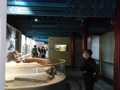 -大钟寺古钟博物馆
