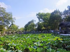 -无锡蠡湖国家湿地公园-蠡园