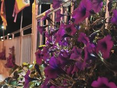 -村东第一家私房菜馆(古北水镇店)