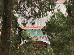-成都老君山