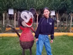 -武汉紫薇都市田园