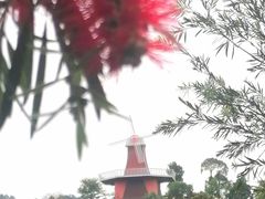 -东莞植物园