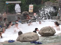 -雅安楠水阁温泉酒店