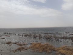 -卧龙湖