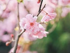 -碑林公园