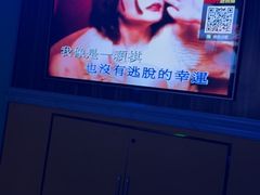 -宝乐星量贩KTV(莲升路店)