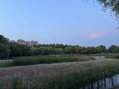 -滨湖塘西河公园