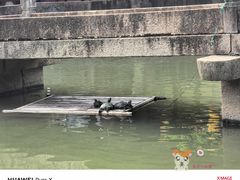 -丝绸小镇荻港古村