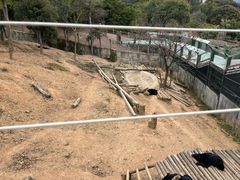 -泉州海丝野生动物世界