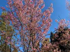 -云南野生动物园