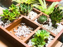 -彼芝奇比萨(红坊店)