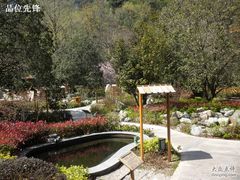 -黄山温泉国际旅游度假区