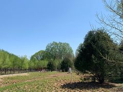 -东郊湿地公园