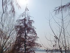 -东湖落雁景区