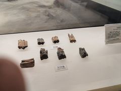 -辽宁古生物博物馆