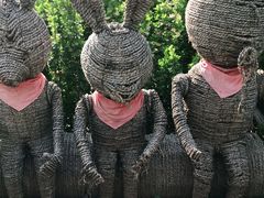 -西部长青自然儿童乐园