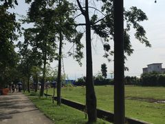 -广东花都香草世界旅游度假区
