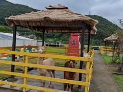 -宁波九龙湖开元度假村