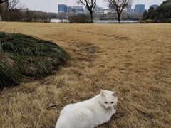 -东华大学(松江校区)
