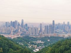 -南山植物园