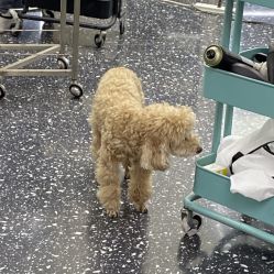 -Hair Co.一间沙龙